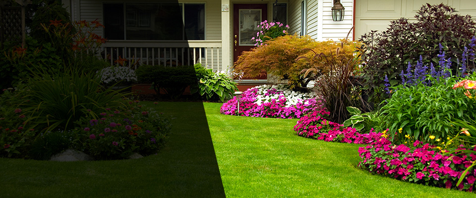 Coronado Landscapers
